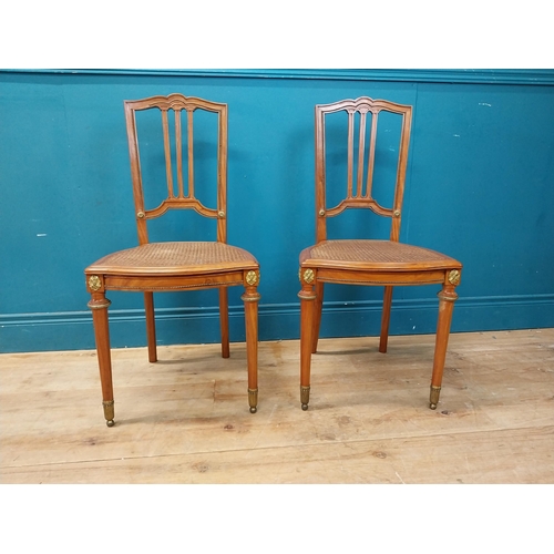 864 - Pair of exceptional quality French Edwardian satinwood side chairs {90 cm H x 42 cm W x 40 cm D}.