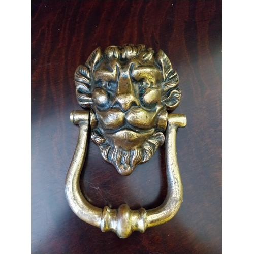 905 - Lions mask brass door knocker {19 cm H}.