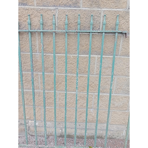 1003 - Green wrought iron railing {H 158cm x W 342cm }.