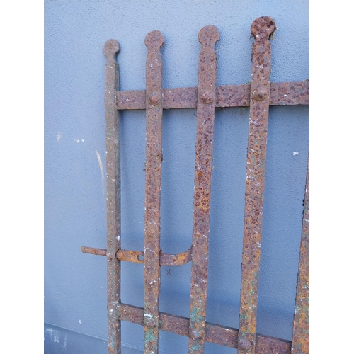 1005 - Early 19th C. hand forged wrought iron garden gate with lollipop design {114 cm H x 106 cm W}.