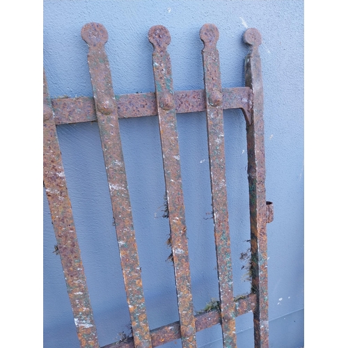 1005 - Early 19th C. hand forged wrought iron garden gate with lollipop design {114 cm H x 106 cm W}.