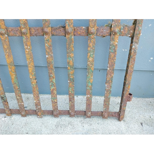 1005 - Early 19th C. hand forged wrought iron garden gate with lollipop design {114 cm H x 106 cm W}.