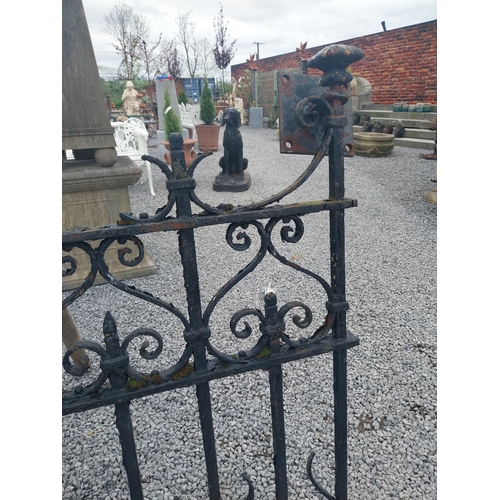 1006 - 19th C. decorative wrought iron garden gate {109 cm H x 117 cm W}.