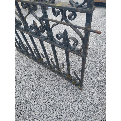 1006 - 19th C. decorative wrought iron garden gate {109 cm H x 117 cm W}.