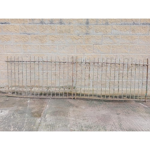 1007 - Pair of curved wrought iron railings {H 114cm x W 360cm }.