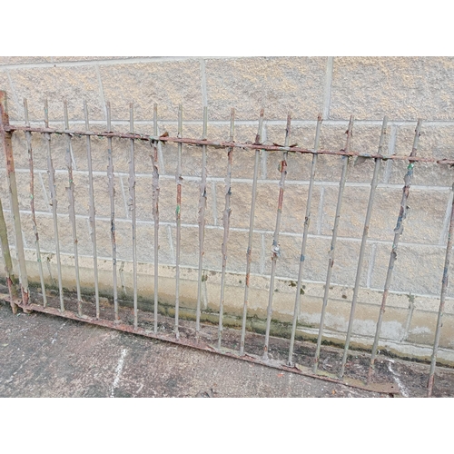 1007 - Pair of curved wrought iron railings {H 114cm x W 360cm }.