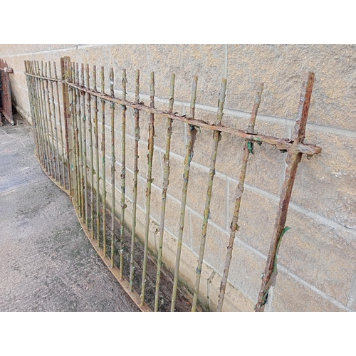 1007 - Pair of curved wrought iron railings {H 114cm x W 360cm }.