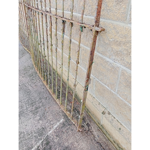 1007 - Pair of curved wrought iron railings {H 114cm x W 360cm }.