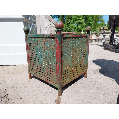 1008 - Pair of 1950s wrought iron planters {50 cm H x 44 cm W x 44 cm D}.