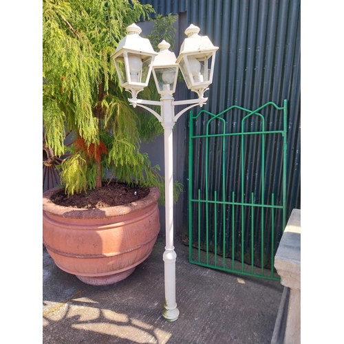 1012 - Cast alloy avenue lamp {192 cm H x 56 cm Dia.}.