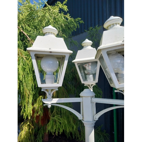 1012 - Cast alloy avenue lamp {192 cm H x 56 cm Dia.}.