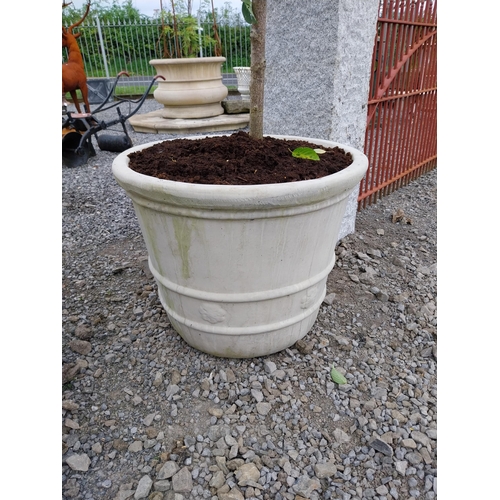 134 - Pair of good quality moulded sandstone planters with trees {Planters 53 cm H x 66 cm Dia.}.