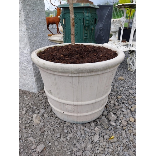 134 - Pair of good quality moulded sandstone planters with trees {Planters 53 cm H x 66 cm Dia.}.