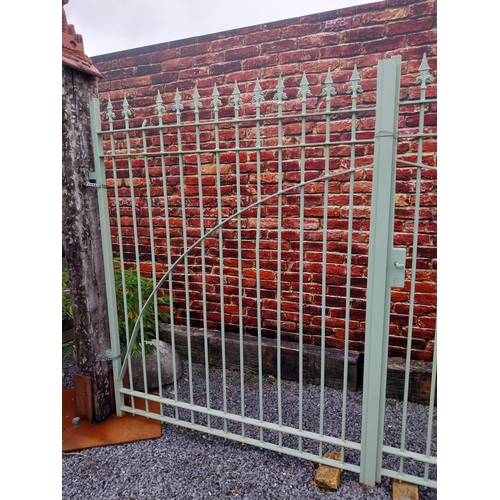 156 - Pair of wrought iron entrance gates decorated with spire finials {195 cm H x 325 cm W}.