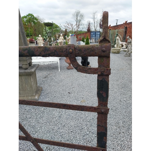 166 - 19th C. Irish hand-forged wrought iron field gate {137 cm H x 231 cm W}.