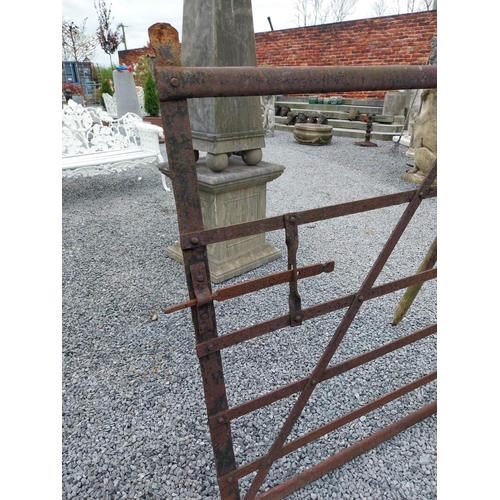 166 - 19th C. Irish hand-forged wrought iron field gate {137 cm H x 231 cm W}.