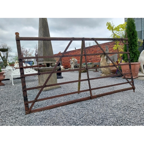 166 - 19th C. Irish hand-forged wrought iron field gate {137 cm H x 231 cm W}.