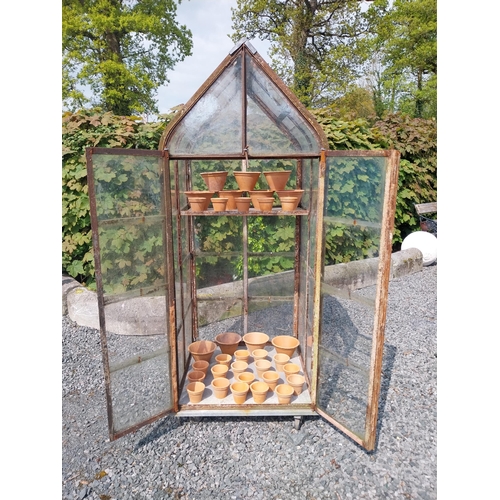 168 - Early 20th C. French wrought iron greenhouse {174 cm H x 70 cm W x 74 cm D}.