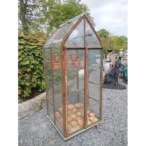 168 - Early 20th C. French wrought iron greenhouse {174 cm H x 70 cm W x 74 cm D}.