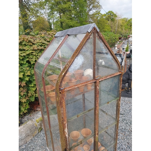 168 - Early 20th C. French wrought iron greenhouse {174 cm H x 70 cm W x 74 cm D}.