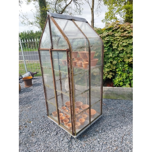 168 - Early 20th C. French wrought iron greenhouse {174 cm H x 70 cm W x 74 cm D}.