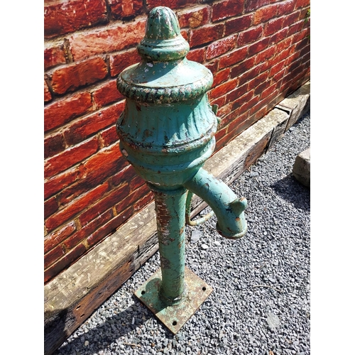 172 - 19th C. cast iron water pump - J Scotts Cookstown. {120 cm H x 60 cm W x 45 cm D}.