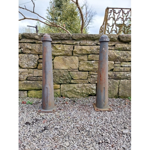 181 - Pair of cast iron bollards {88 cm H x 20 cm W x 21 cm D}.