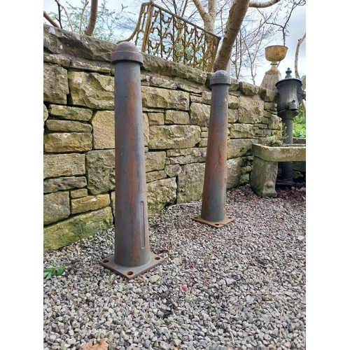 181 - Pair of cast iron bollards {88 cm H x 20 cm W x 21 cm D}.