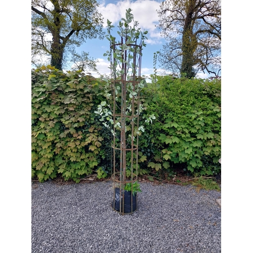 188 - 19th C. wrought iron tree surround {213 cm H x 29 cm Dia.}.