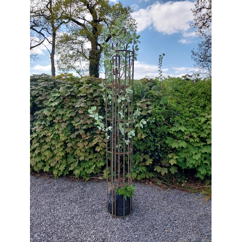 188 - 19th C. wrought iron tree surround {213 cm H x 29 cm Dia.}.