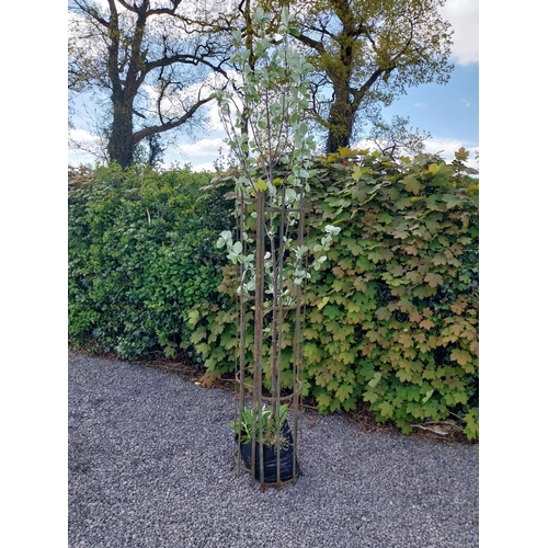 189 - 19th C. wrought iron tree surround {160 cm H x 27 cm Dia.}.