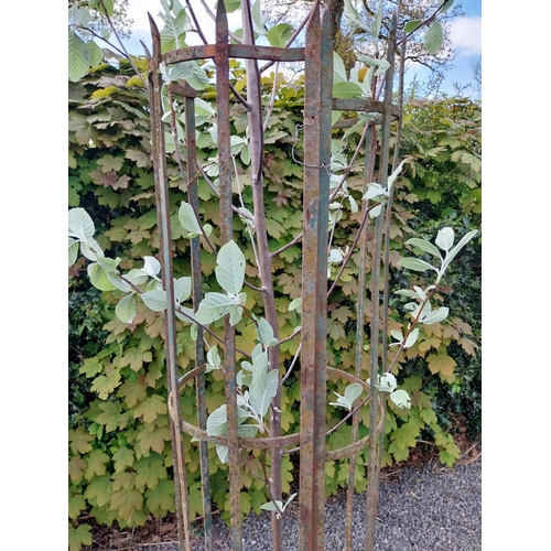 189 - 19th C. wrought iron tree surround {160 cm H x 27 cm Dia.}.