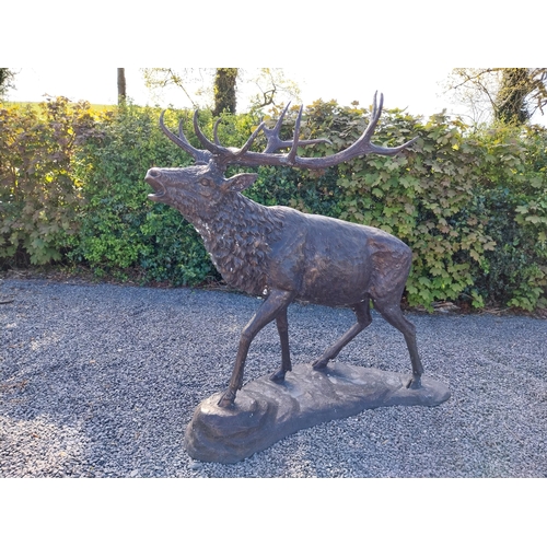 210 - Exceptional quality bronze statue of a bellowing Stag {170 cm H x