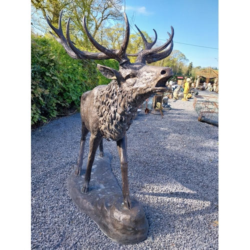 210 - Exceptional quality bronze statue of a bellowing Stag {170 cm H x