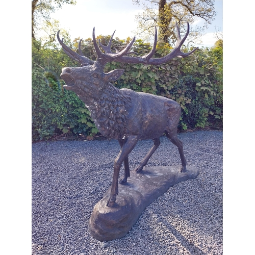 210 - Exceptional quality bronze statue of a bellowing Stag {170 cm H x