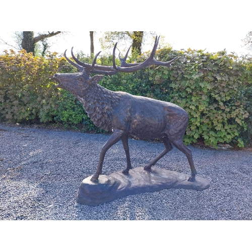 210 - Exceptional quality bronze statue of a bellowing Stag {170 cm H x