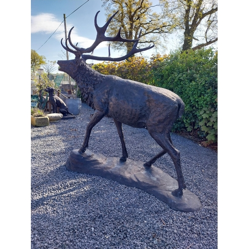 210 - Exceptional quality bronze statue of a bellowing Stag {170 cm H x