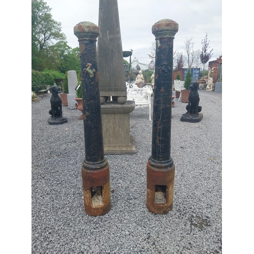 218A - Pair of good quality cast iron bollards in the Victorian style {130 cm H x 20 cm Dia.}.