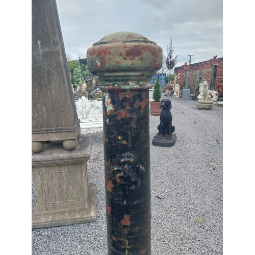 218A - Pair of good quality cast iron bollards in the Victorian style {130 cm H x 20 cm Dia.}.