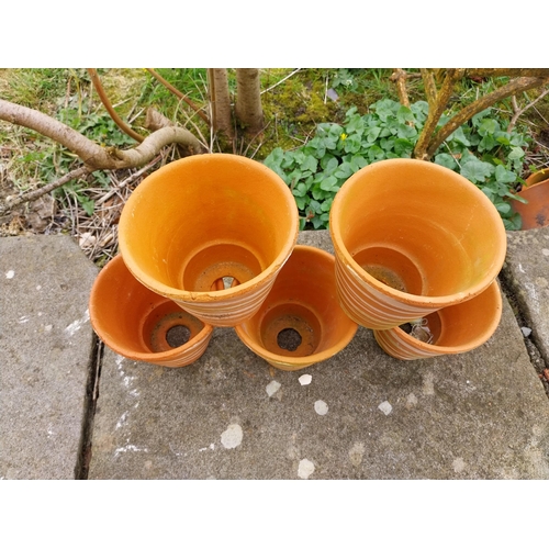 226 - Collection of five terracotta plant pots with spiral design {15 cm H x 16 cm Dia.}.