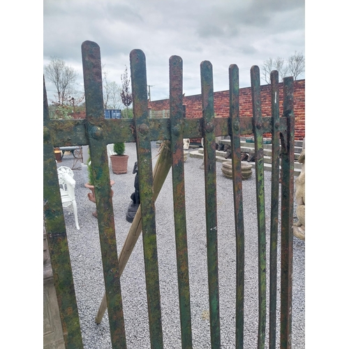 236 - Pair of 19th C. Irish hand-forged wrought iron entrance gates {163 cm H x 244 cm W}.