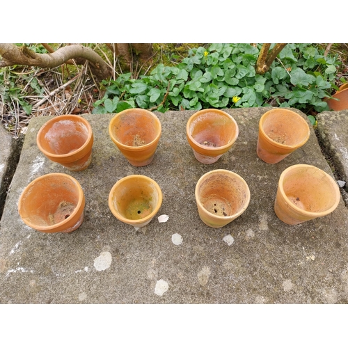 241 - Collection of small terracotta plant pots {Roughly 9 cm H x 9 cm Dia.}.