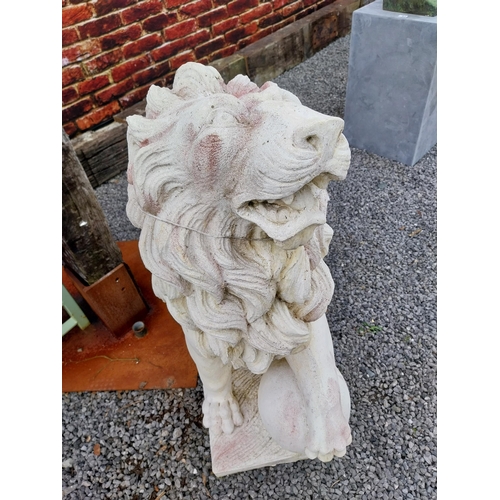 290 - Pair of good quality composition statues of Lions with ball at foot mounted on plinths {110 cm H x 1... 