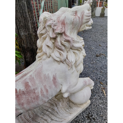 290 - Pair of good quality composition statues of Lions with ball at foot mounted on plinths {110 cm H x 1... 