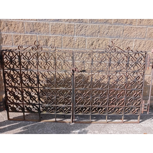 293 - Pair of forged wrought iron gates with hinges {H 137cm x W 262cm x D 4cm }. (NOT AVAILABLE TO VIEW I... 