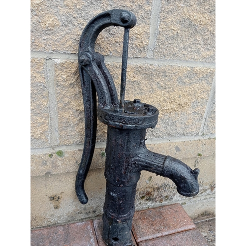 317 - Cast iron water pump {H 60cm x W 30cm x D 15cm }. (NOT AVAILABLE TO VIEW IN PERSON)