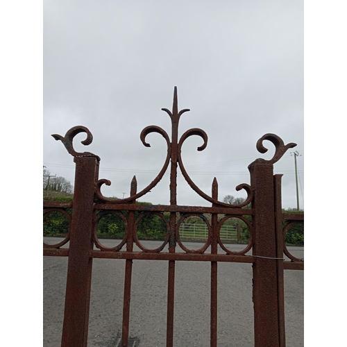 321 - Wrought iron rail and pedestrian gate {H 230cm x W 297cm x D 5cm }. (NOT AVAILABLE TO VIEW IN PERSON... 