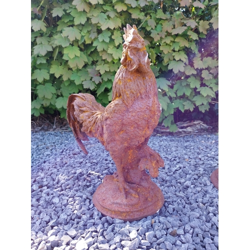 342 - Pair of cast iron statues of Roosters {43 cm H x 36 cm W x 20 cm D}.