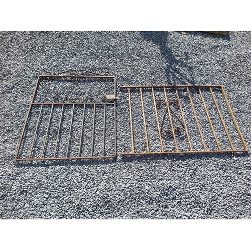 354 - Cast iron garden gate and railing {Gate 105 cm H x 82 cm W x 3 cm D. Railing 78 cm H x 113 cm W x 3 ... 