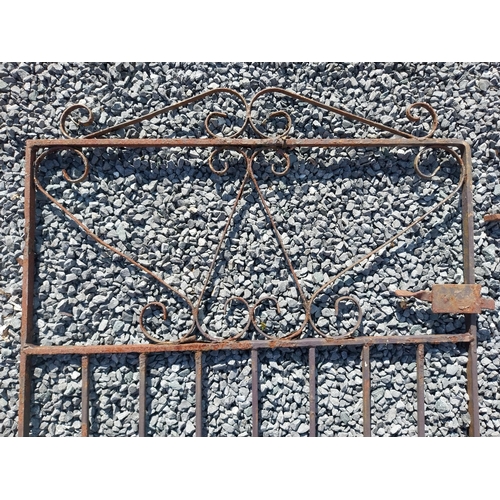 354 - Cast iron garden gate and railing {Gate 105 cm H x 82 cm W x 3 cm D. Railing 78 cm H x 113 cm W x 3 ... 